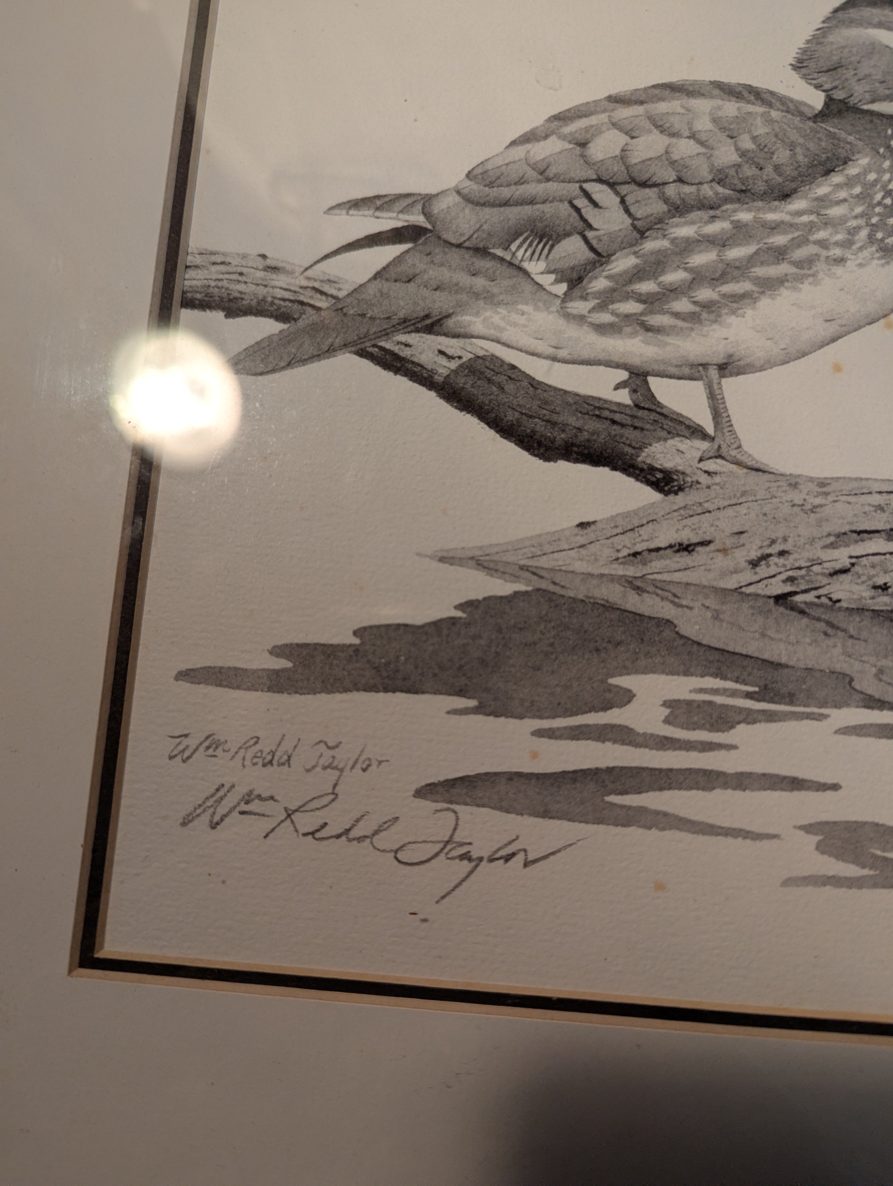 Wood Ducks" Signed W. Redd Taylor Framed Lithograph – Wildlife Classic!