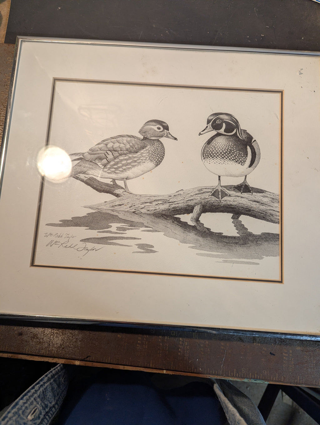 Wood Ducks" Signed W. Redd Taylor Framed Lithograph – Wildlife Classic!